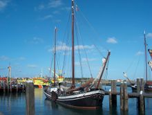 Holanda meridionals.jpeg