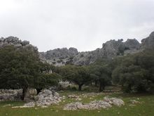 Parque natural de la Sierra de Grazalema.jpg