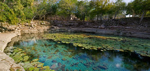 Cenote Xlakáh: lugar de singular belleza y atractivo.