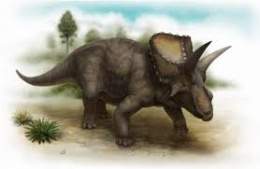 Diceratops12.jpg