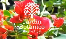 JardinBMedellin.JPG