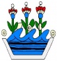 Escudo de Xochiatipan