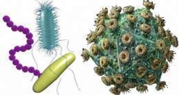 Virus-bacteria.jpg