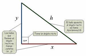 Triangulo rectangulo.jpg