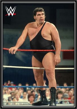 Andre the giant 3.jpg