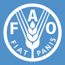 FAO-logo.png