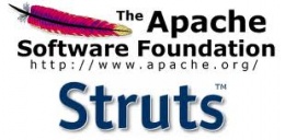 Apache-struts.jpeg