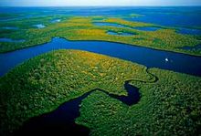 Parque Nacional de Los Everglades.jpg
