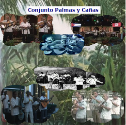 Conjunto Palmas y Cañas.png