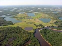 El gran pantanal.jpg