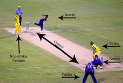 Cricket 2.jpg