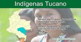 IndigenasTucanos8.jpg