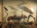 Miniatura de la versión del 17:59 20 sep 2010