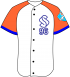 Ssp uniforme homeclub.png