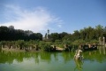 Miniatura de la versión del 09:17 11 mar 2013