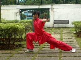 Wushu-pose.jpg