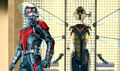 Antman-and-the-wasp-header2.jpg