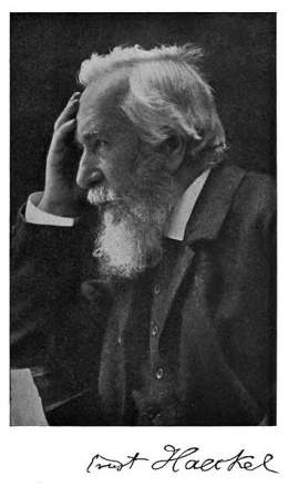 Ernst Haeckel.jpg