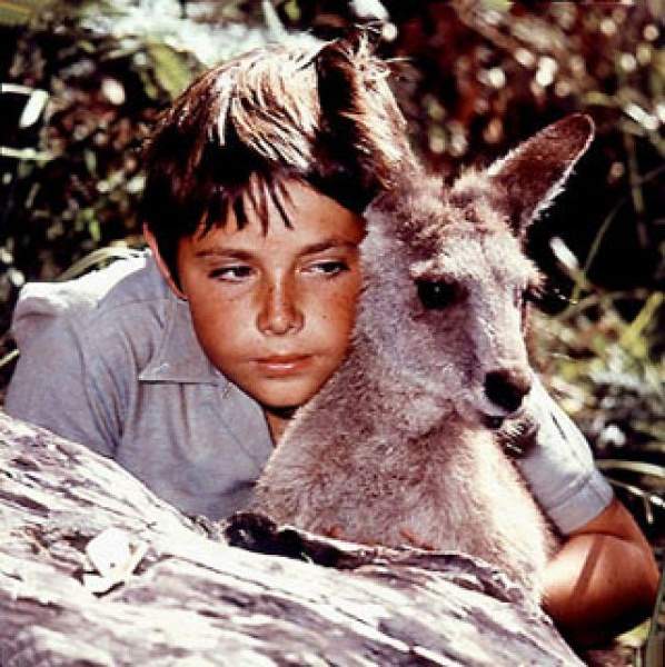 Archivo:Skippy2.jpg