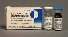 Vacuna BCG.jpeg