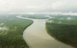 Parque Nacional Delta del Orinoco.jpg