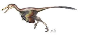 Buitreraptor.jpg