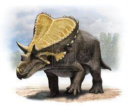 Mercuriceratops.jpg