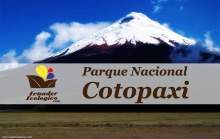 Directorio-ambienta-del-ecuador-parque-nacional-cotopaxi-21.jpg