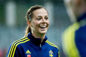 Schelin.jpg
