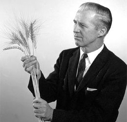 Ernest Borlaug.jpg