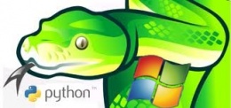 Python windows.jpeg
