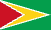 Bandera-Guyana.gif