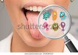 Bacterias de la boca.jpg
