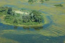 Okavango-1.jpg