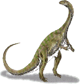 Imagen-dino-massospondylus.gif