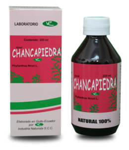 Chancapiedra-400x465.png