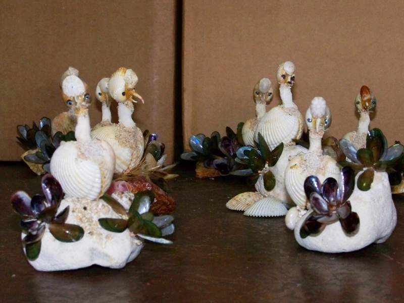 Archivo:Paticos.jpg