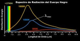Cuerponegro.jpeg