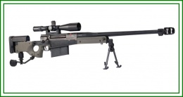 Fusil de Francotirador Accuracy International AW50.JPG