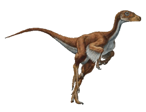Dromaeosaurus.gif