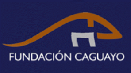 Fundacion Caguayo.gif