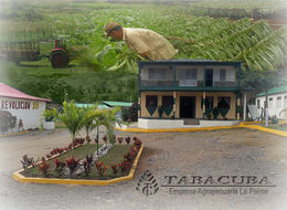 Empresa Agropecuaria La Palma.JPG
