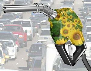 Biodiesel.jpg