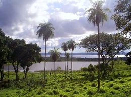 Lago Ypacaraí.jpg