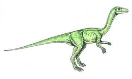 Procompsognathus.jpg