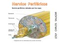Miniatura de la versión del 11:36 9 may 2017