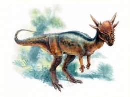 Stygimoloch dino.jpg