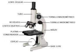 1º Microscopio óptico con nombres.jpg