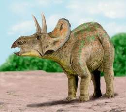 Nedoceratops.jpg
