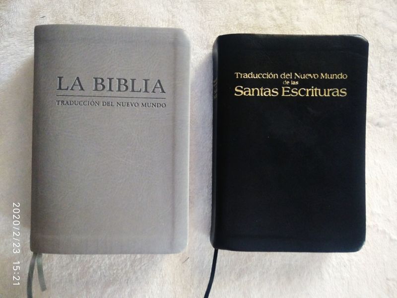 Archivo:TNM.jpg